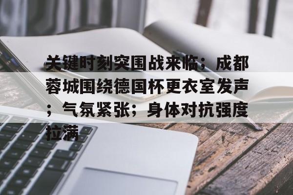 九游体育-成都蓉城现场氛围